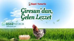 Giresun'un doğal ve organik lezzeti Çepni Yumurta