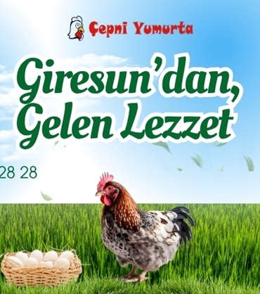Giresun'un doğal ve organik lezzeti Çepni Yumurta