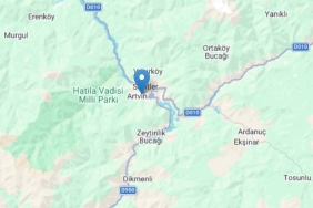 Artvin Günlük Kiralık Daire ve Konaklama