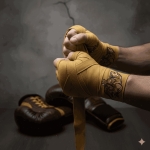 golden-guard-rhino-2