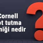 Not Alma Sanatı Cornell Metodu ve Diğerleri