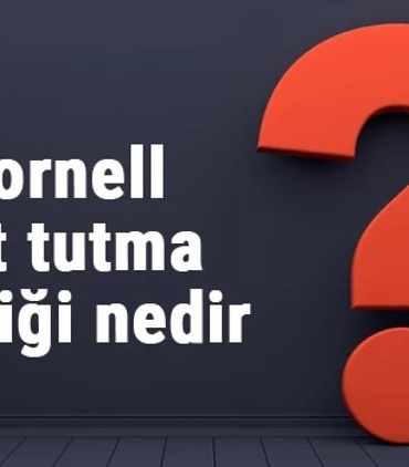 Not Alma Sanatı Cornell Metodu ve Diğerleri