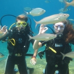 aktivup-yaz-ve-kis-aktiviteleri-5