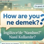 How are you ne demek?