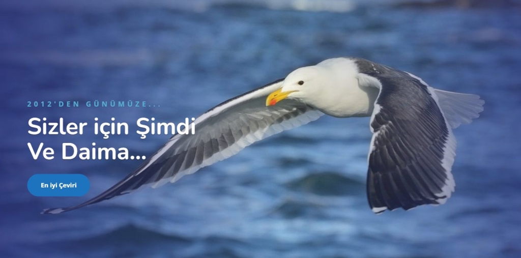 Yeminli Tercüman Fiyat - Yeminli Tercüme Bürosu