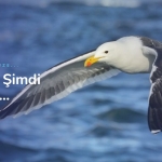 Yeminli Tercüman Fiyat - Yeminli Tercüme Bürosu