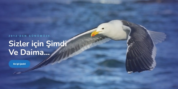 Yeminli Tercüman Fiyat - Yeminli Tercüme Bürosu