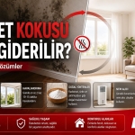 Rutubet Kokusu Nasıl Giderilir?